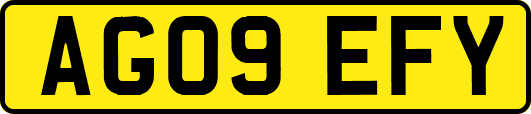 AG09EFY