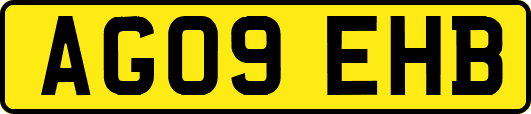 AG09EHB