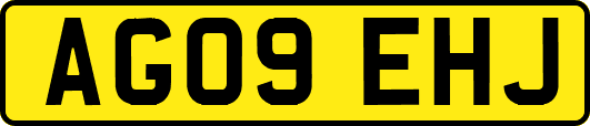 AG09EHJ