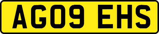 AG09EHS