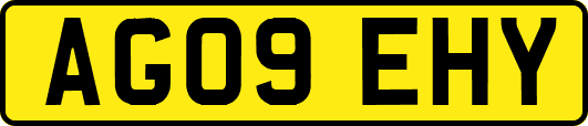 AG09EHY