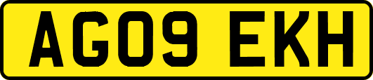 AG09EKH