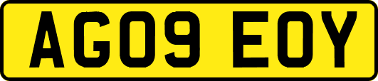 AG09EOY