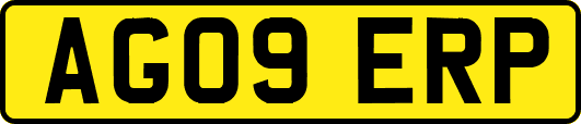 AG09ERP