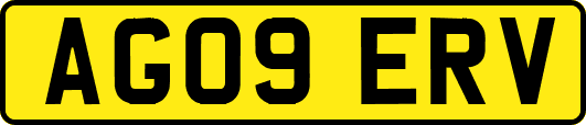 AG09ERV