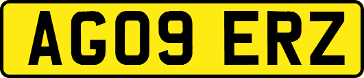 AG09ERZ