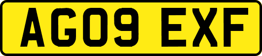 AG09EXF