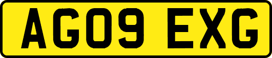 AG09EXG