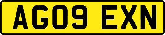 AG09EXN