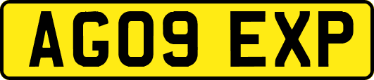 AG09EXP