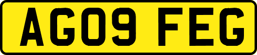 AG09FEG