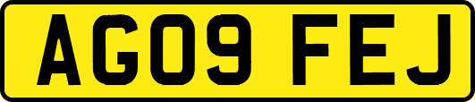 AG09FEJ
