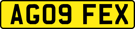 AG09FEX