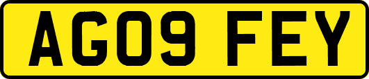 AG09FEY