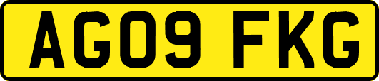 AG09FKG