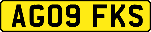 AG09FKS