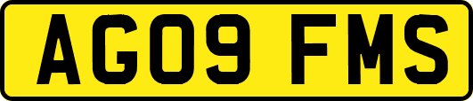 AG09FMS