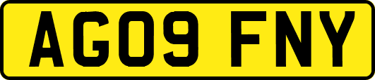 AG09FNY