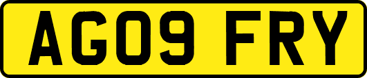AG09FRY