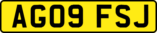 AG09FSJ