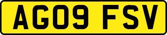 AG09FSV