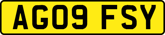 AG09FSY
