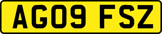 AG09FSZ