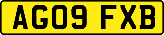 AG09FXB