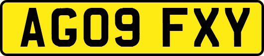 AG09FXY