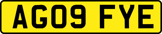 AG09FYE