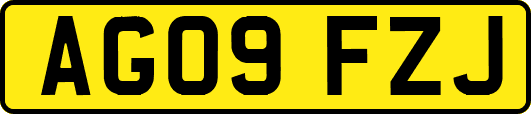 AG09FZJ