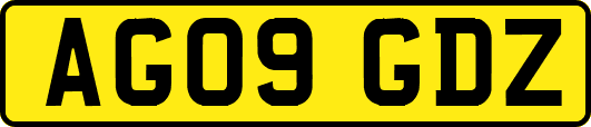 AG09GDZ