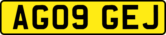 AG09GEJ