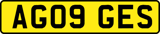 AG09GES