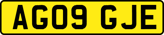 AG09GJE