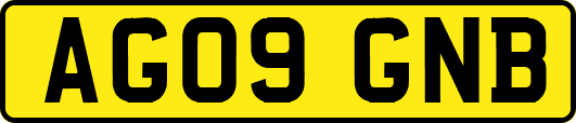 AG09GNB