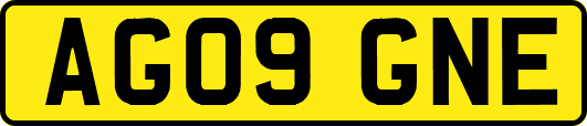 AG09GNE
