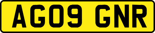 AG09GNR