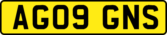 AG09GNS