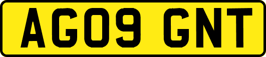 AG09GNT