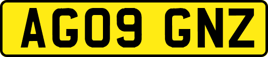 AG09GNZ