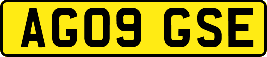 AG09GSE