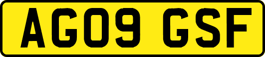 AG09GSF