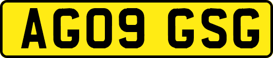 AG09GSG
