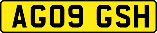AG09GSH