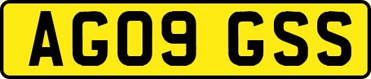 AG09GSS