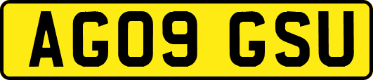 AG09GSU