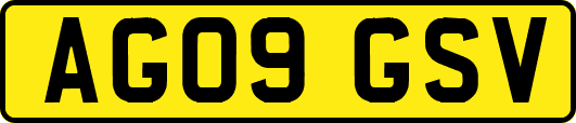 AG09GSV
