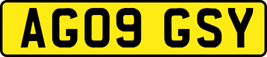 AG09GSY