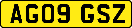 AG09GSZ
